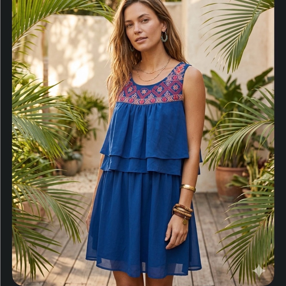 GIANNI BINI Royal Geo Dress SZ S embroidered details and layered top lined NEW